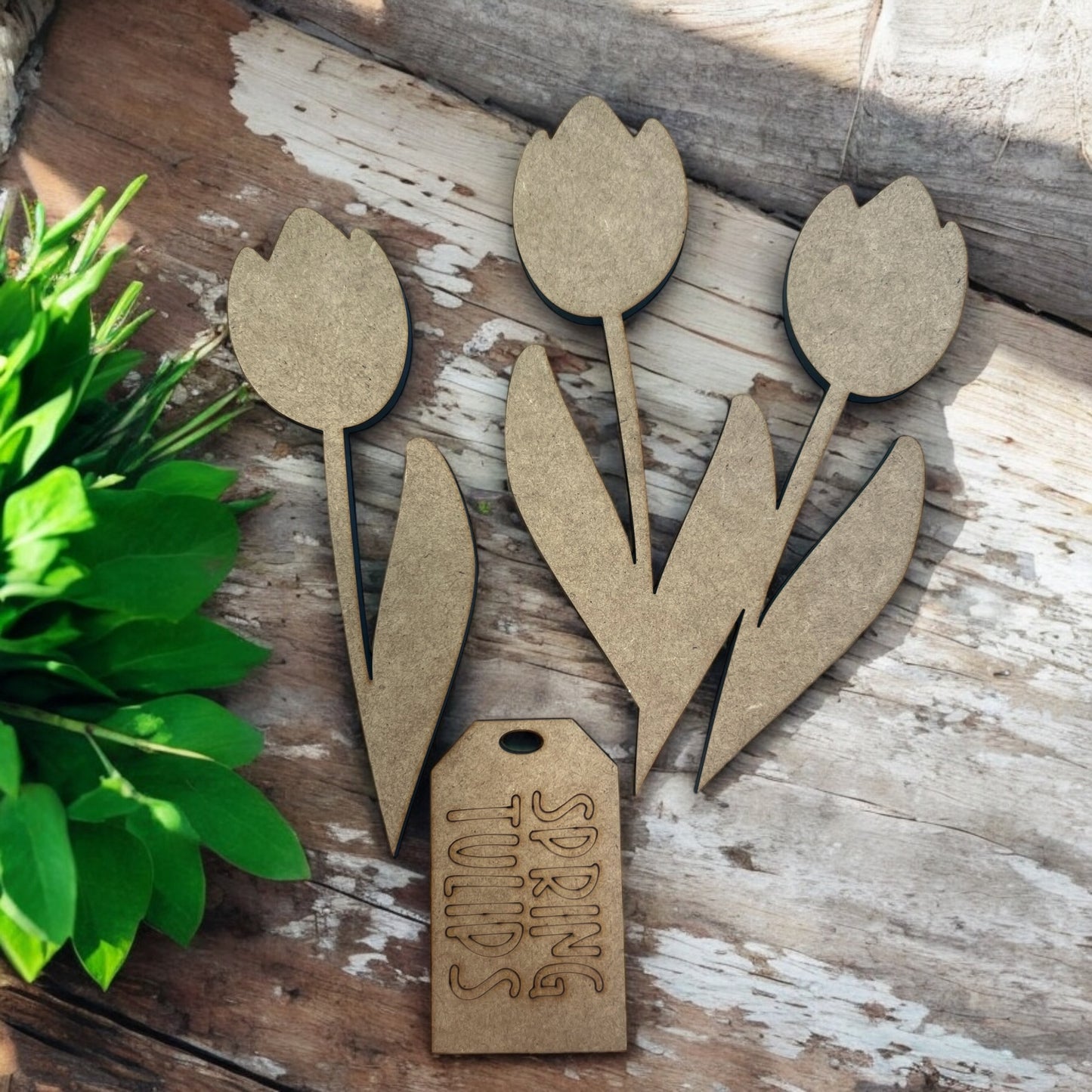 Tulips Insert and Fresh Tulips Tag