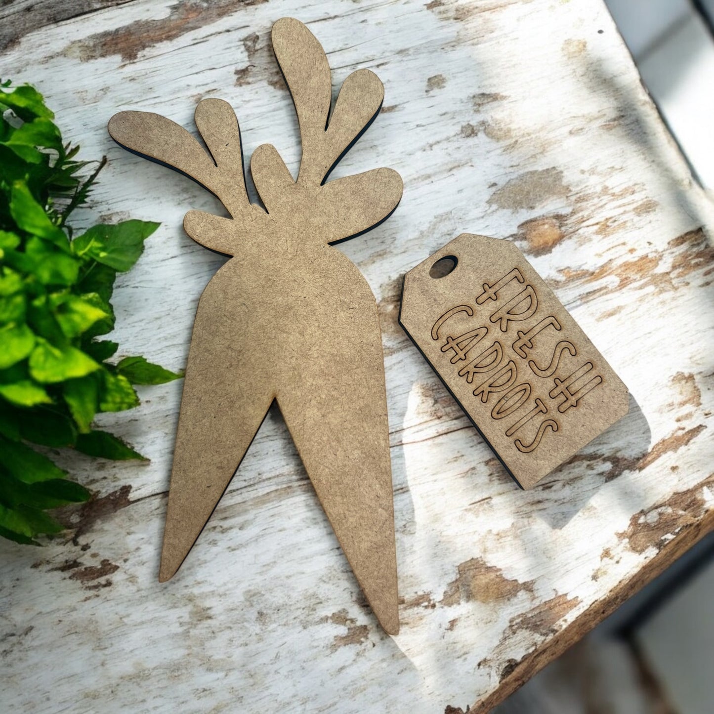 Carrot Insert and Fresh Carrot Tag