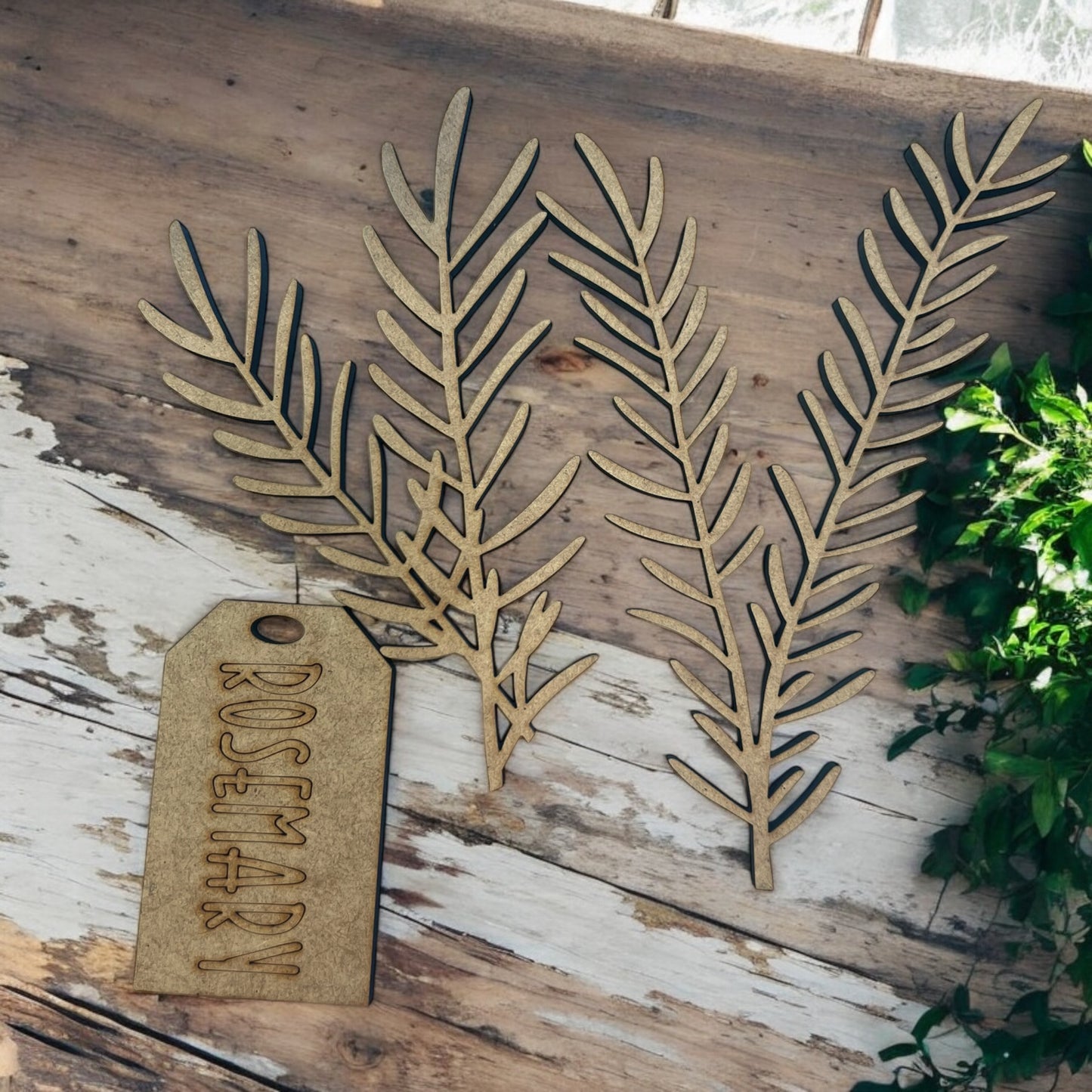 Rosemary Insert and Fresh Rosemary Tag