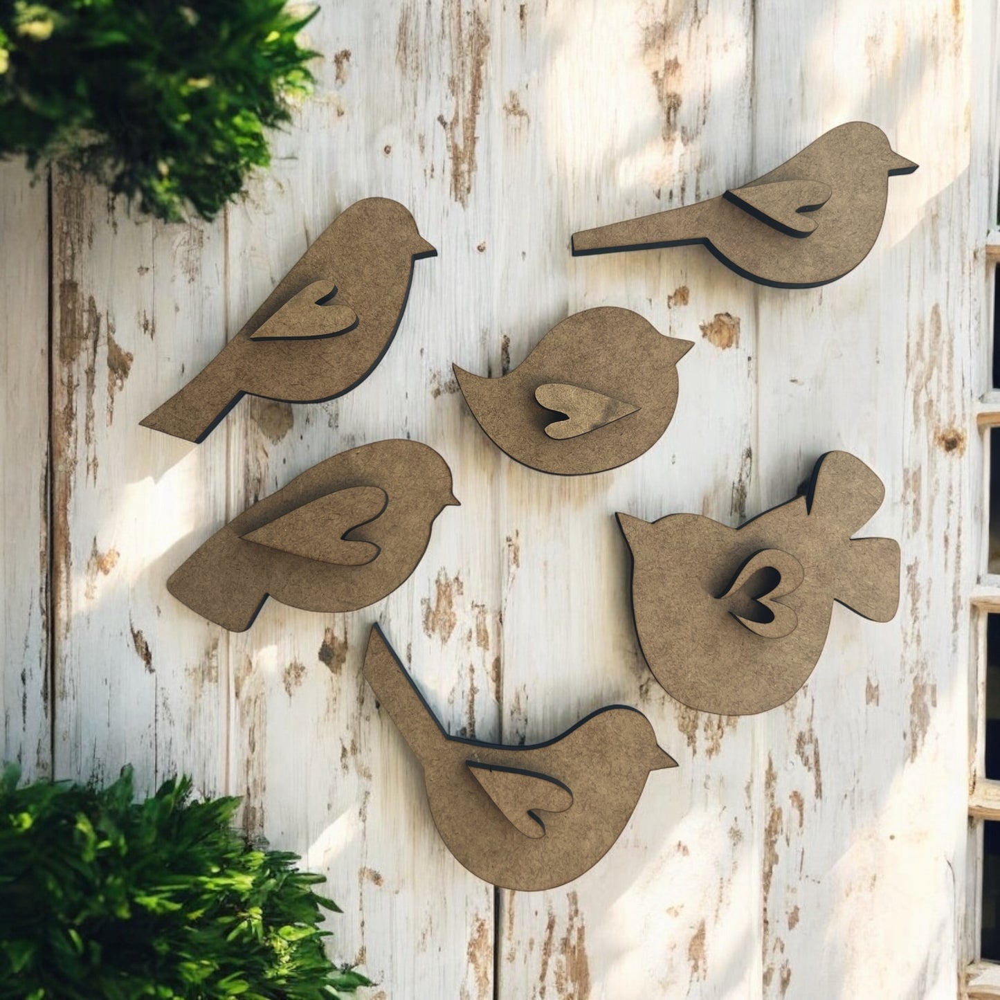 Bird Bundle #1 (6 piece set)